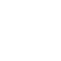 8.5x11 Letterhead